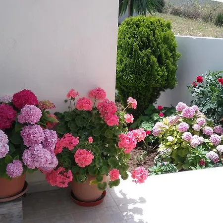 Apartment Erdeti Boutique Sarande